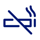 Rauchfrei, tabakfrei, ohne Gerät – ZYN Icon