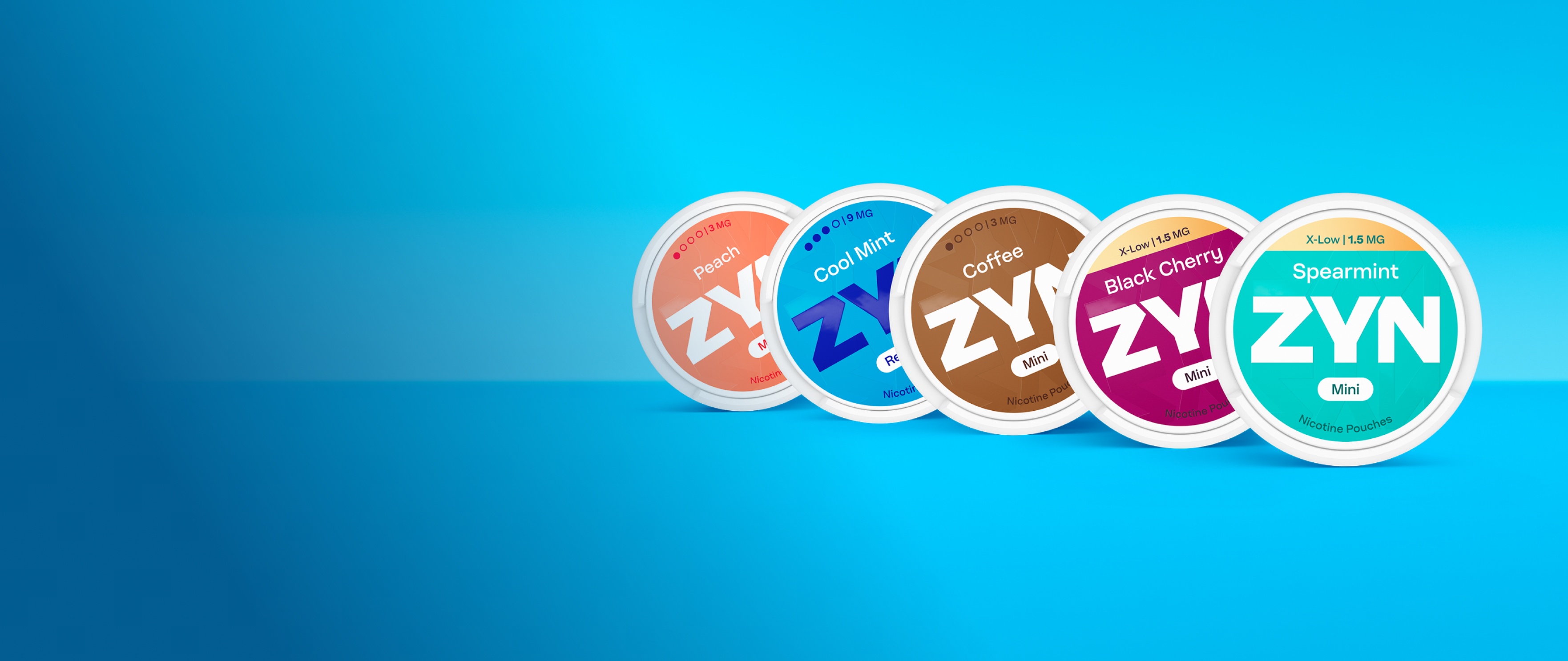 ZYN_ZYN_VEEVANDZYN_D2-HPIT-T01-EN-G01-G-D-2X_WEB_EN-OC