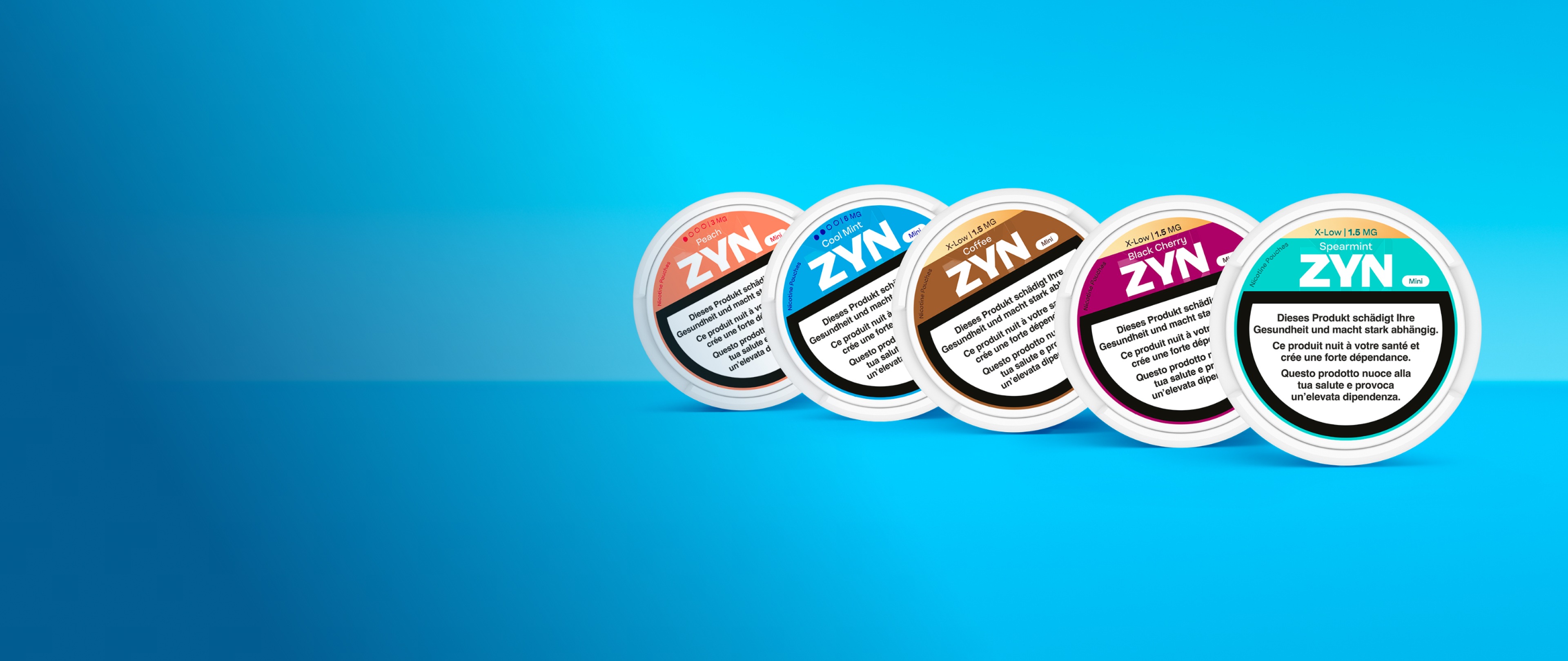 ZYN_ZYN_VEEVANDZYN_D2-HW-HPIT-T01-EN-G01-G-D-2X_WEB_EN-OC