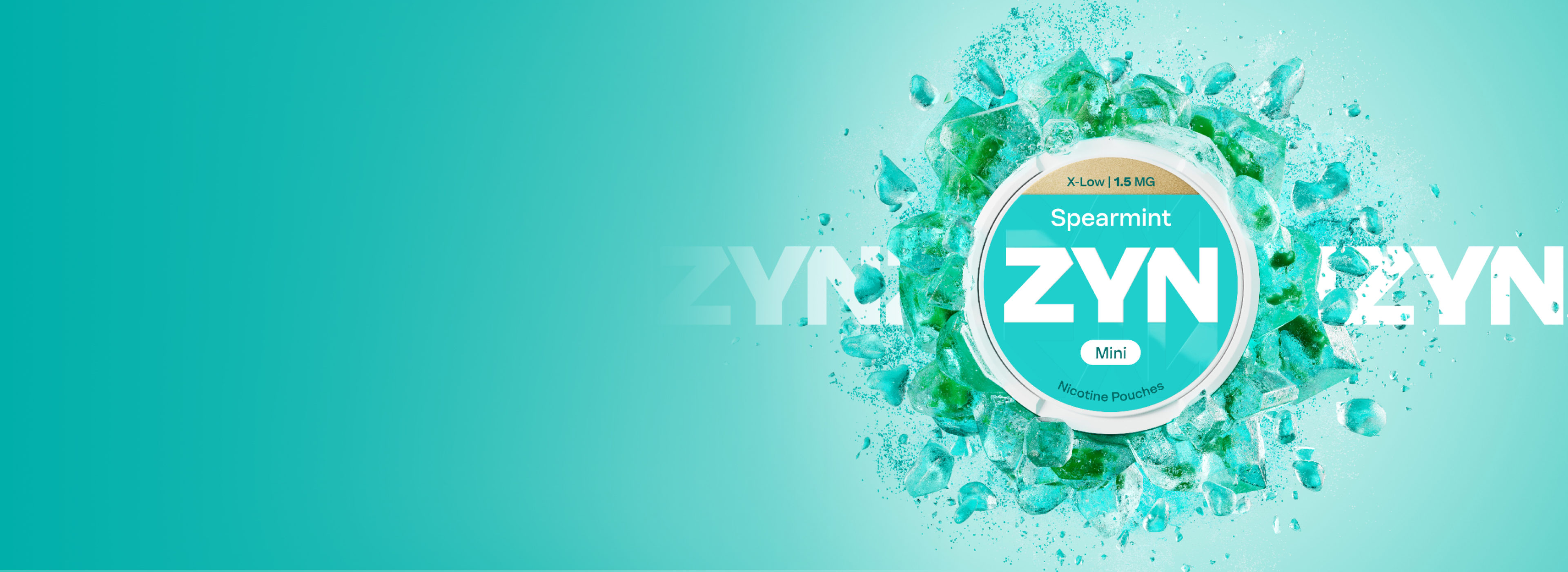 Home Banner 