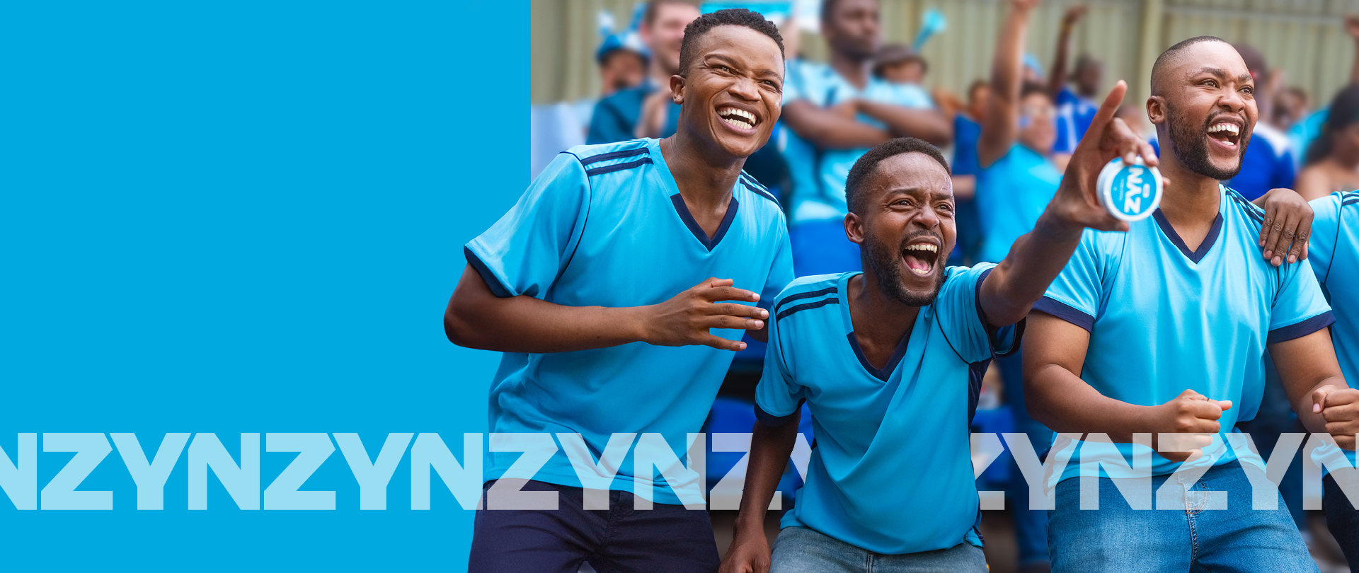 The alternative text for the ZYN background image.