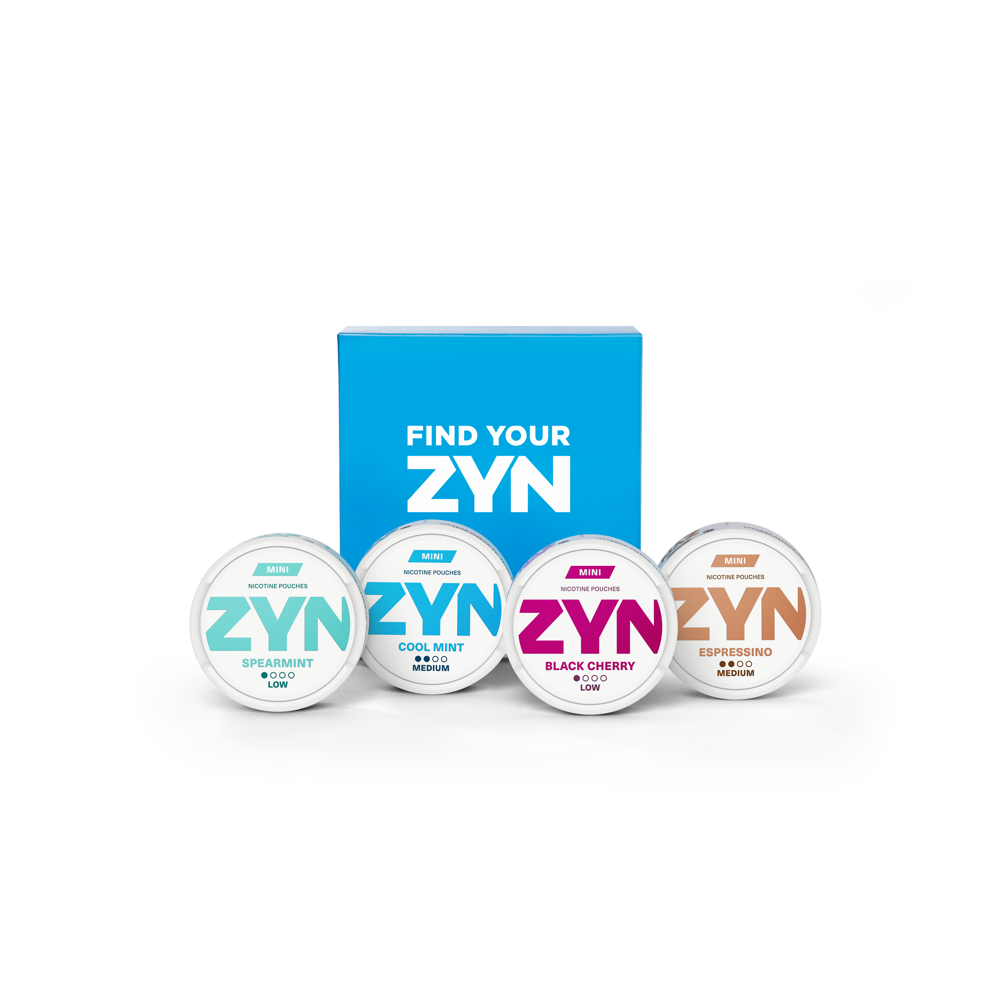 ZYN MINI Discovery Set, , large