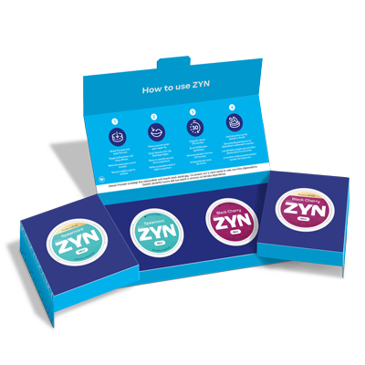 ZYN MINI Discovery Set, , large 0