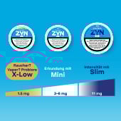 Zyn-Discovery-sets image number 3.0