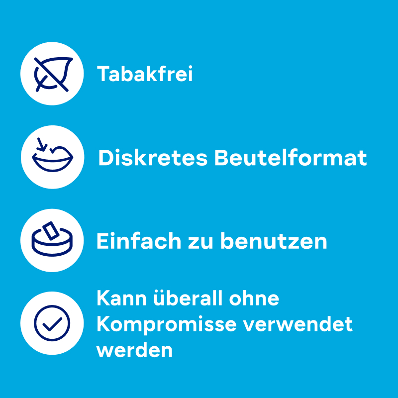 ZYN MINI Discovery Set, Mini Discovery Set, large 2