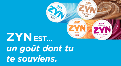 zyn flavours
