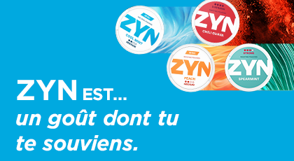 zyn flavours