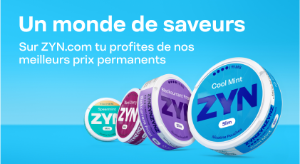 zyn flavours