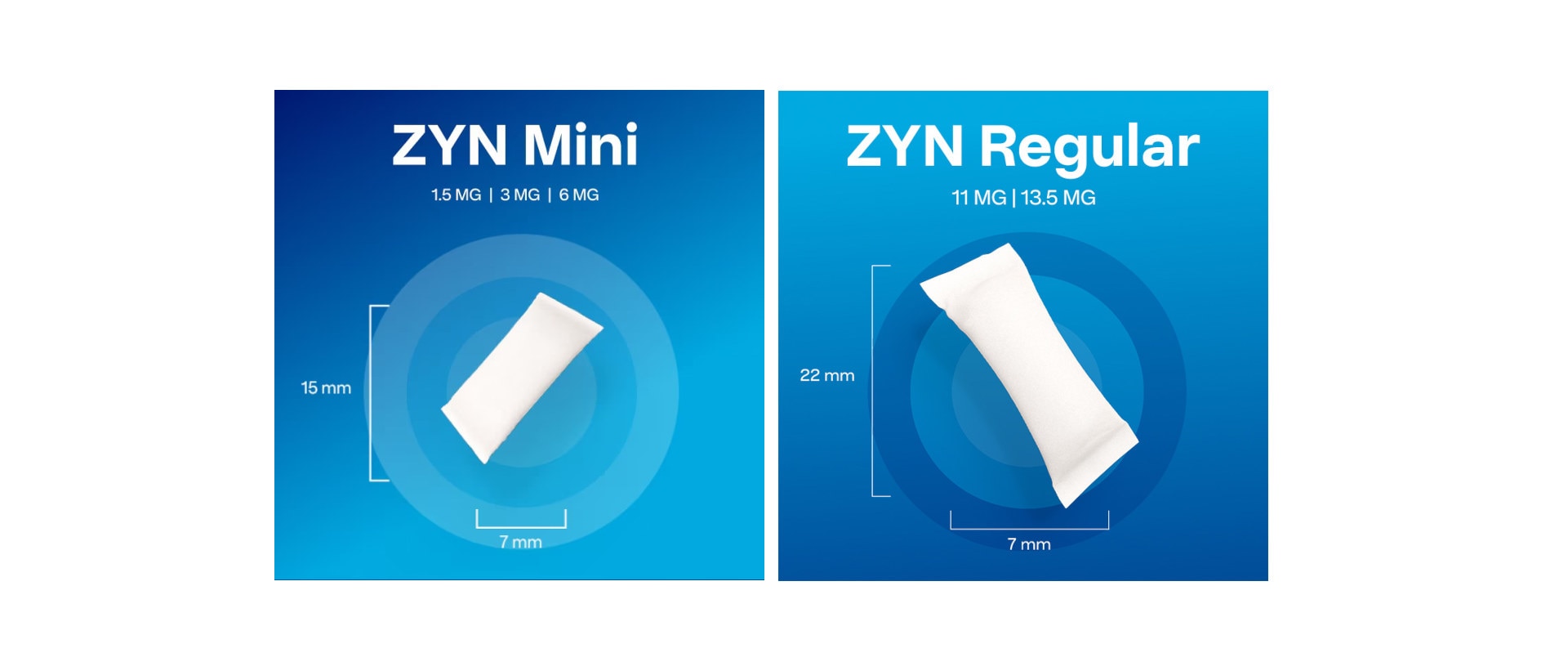 Saszetki nikotynowe ZYN rysunek wskazujący rozmiary saszetek ZYN Mini i ZYN Regular 