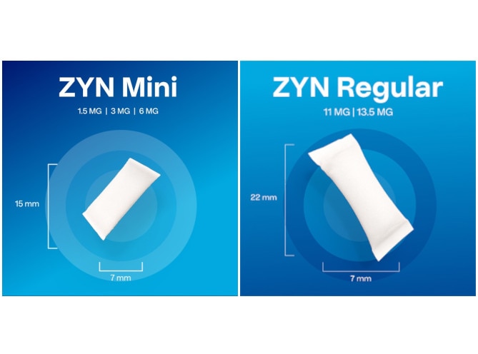 Saszetki nikotynowe ZYN rysunek wskazujący rozmiary saszetek ZYN Mini i ZYN Regular 