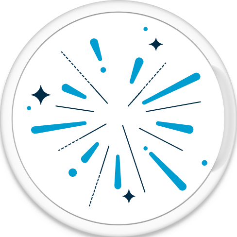 ZYN flavour variety icon