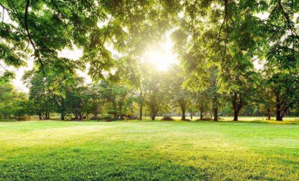 How to replace or repair your IQOS device