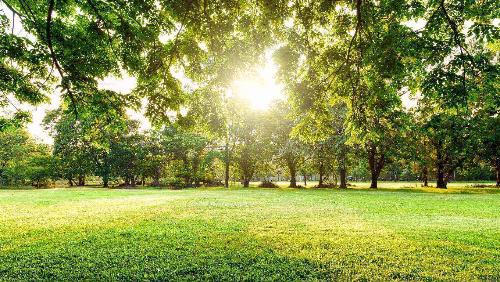 Why does IQOS emit less harmful chemicals than cigarettes?