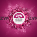 ZYN Black Cherry Mini 3 mg Can (Zyn Black Cherry)