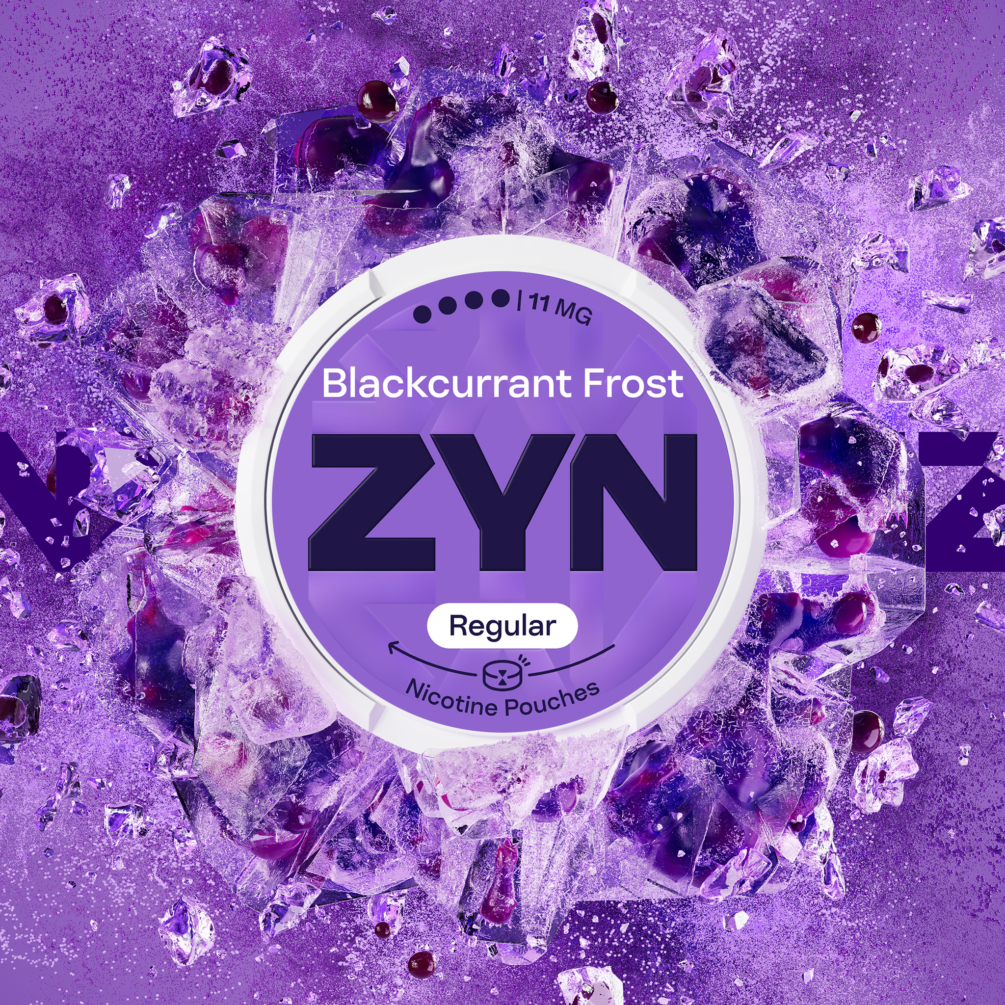 ZYN BLACKCURRANT FROST 11 MG (krabička) (ICY BLACKCURRANT)