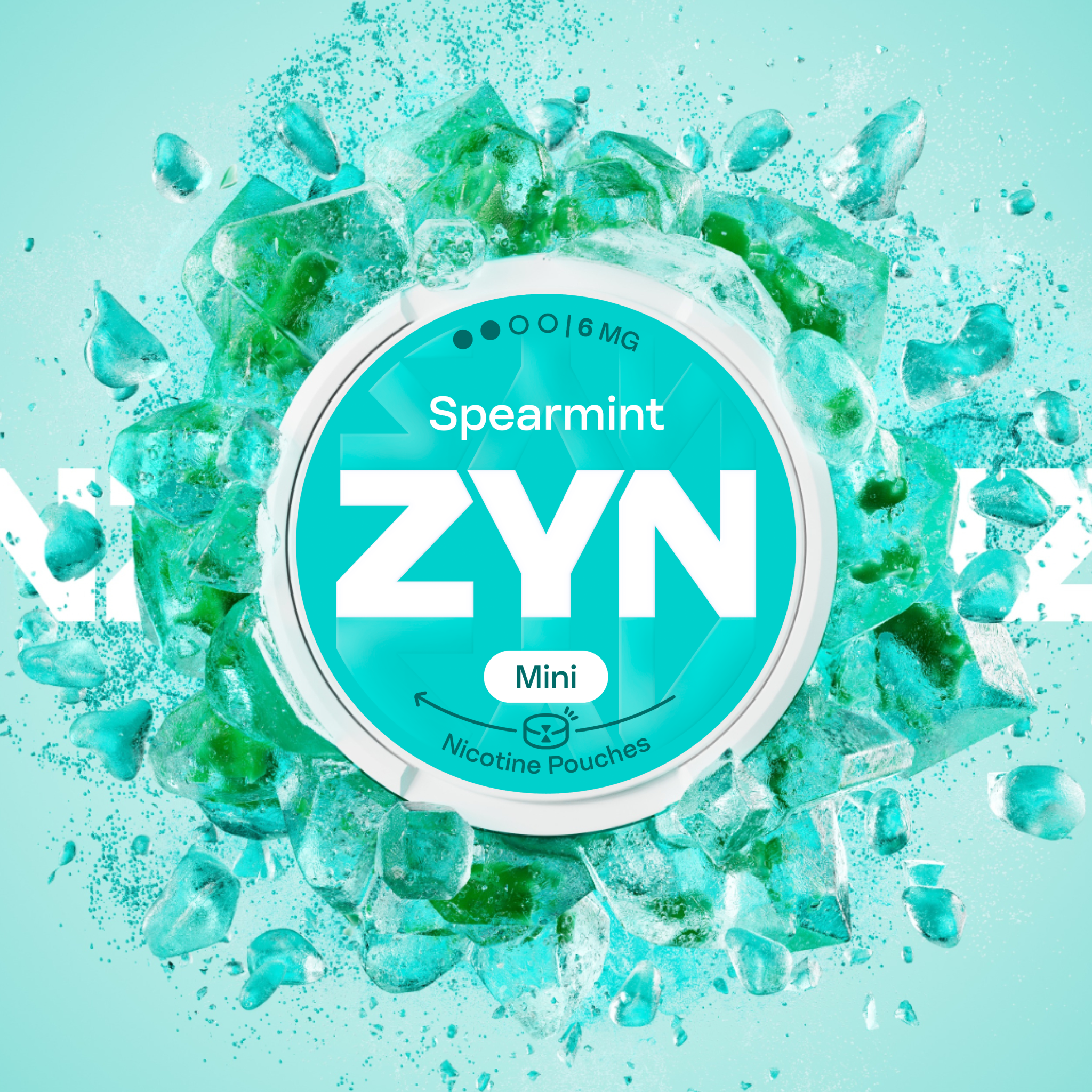 ZYN SPEARMINT 6 MG (krabička) (SPEARMINT)