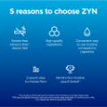 ZYN Cool Mint 6mg (Cool Mint)