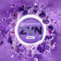 ZYN Blackcurrant Frost 13.5mg (ICY BLACKCURRANT)