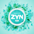 ZYN Spearmint 6mg (SPEARMINT)