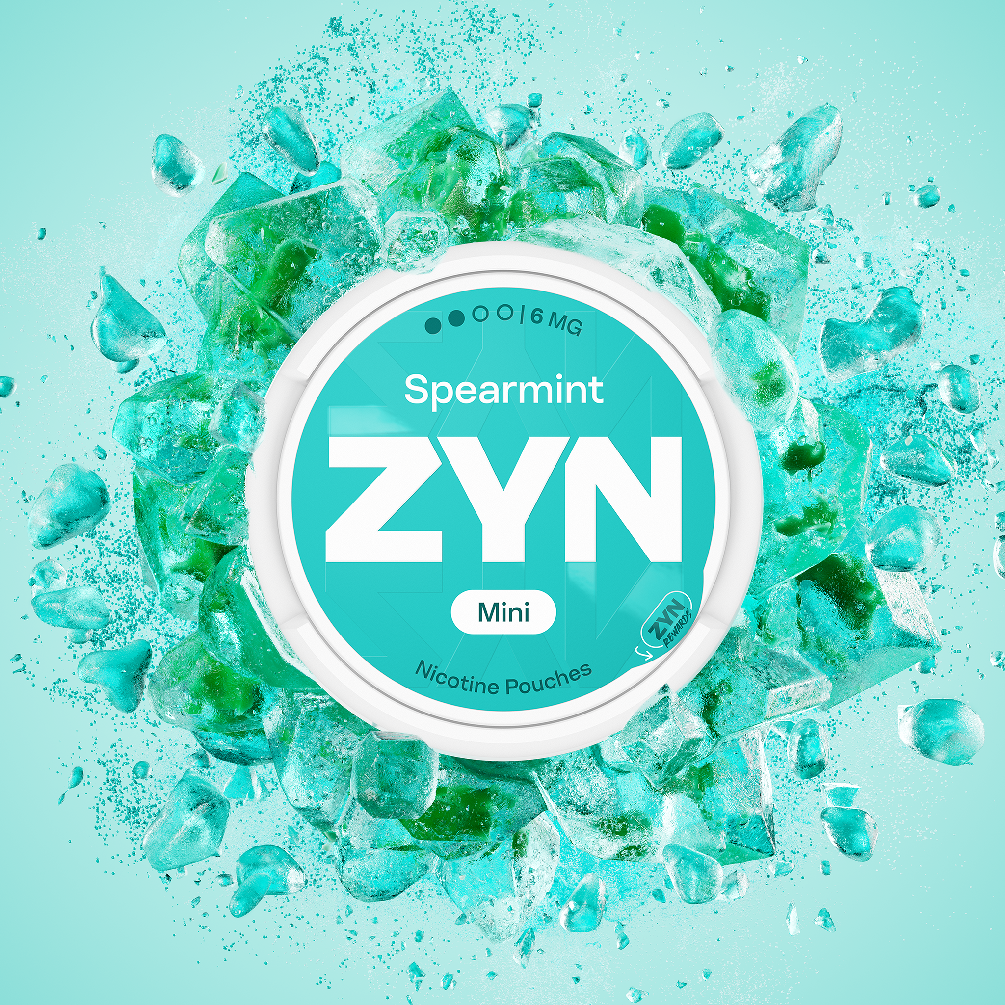 ZYN Spearmint 6mg (SPEARMINT)