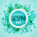 ZYN Spearmint 11mg (SPEARMINT)
