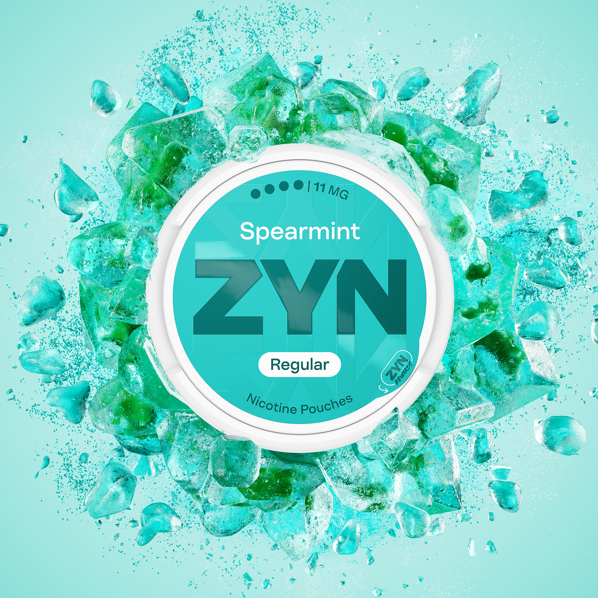 ZYN Spearmint 11mg (SPEARMINT)
