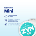 ZYN Spearmint Mini 6mg (SPEARMINT)