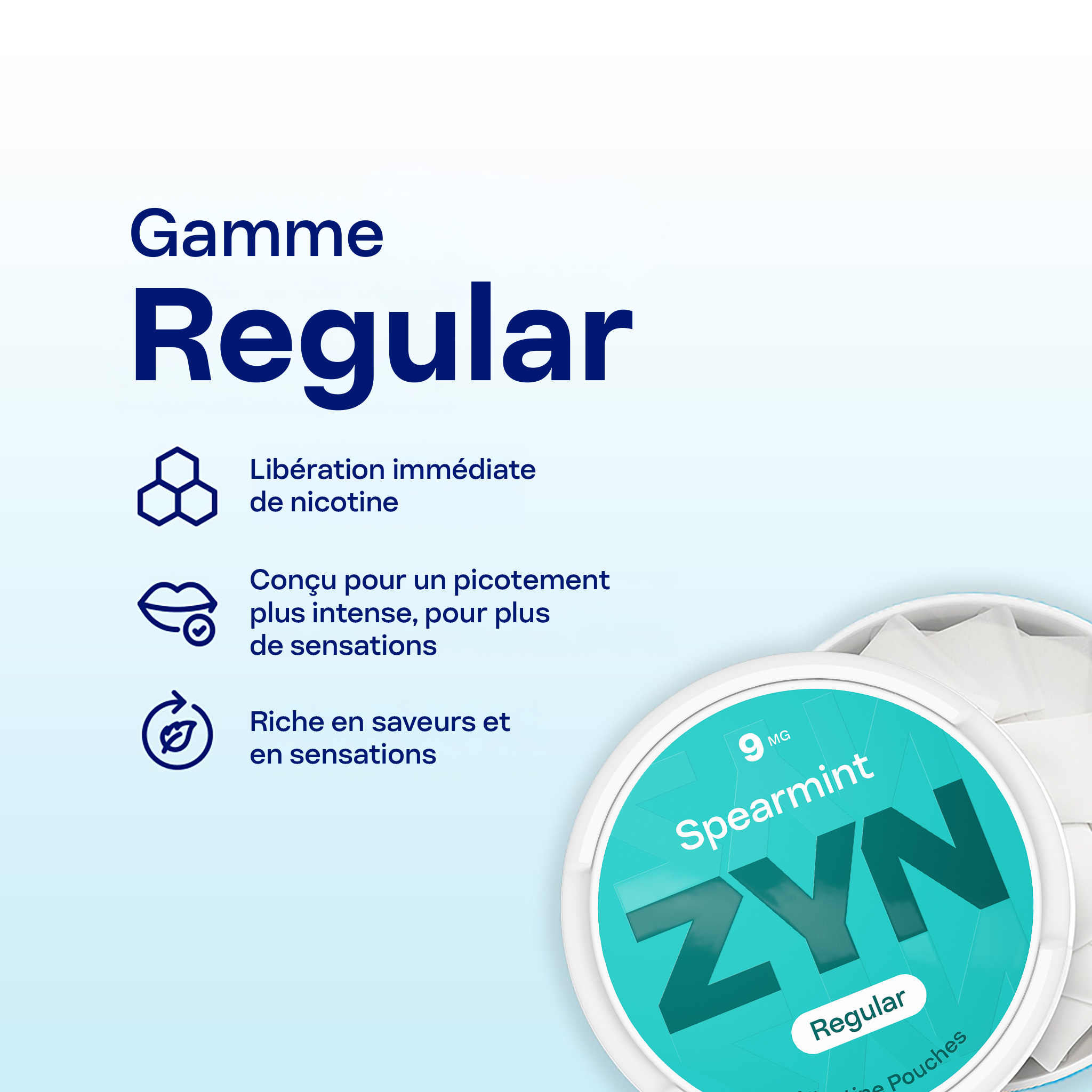 ZYN Spearmint 9mg (SPEARMINT)