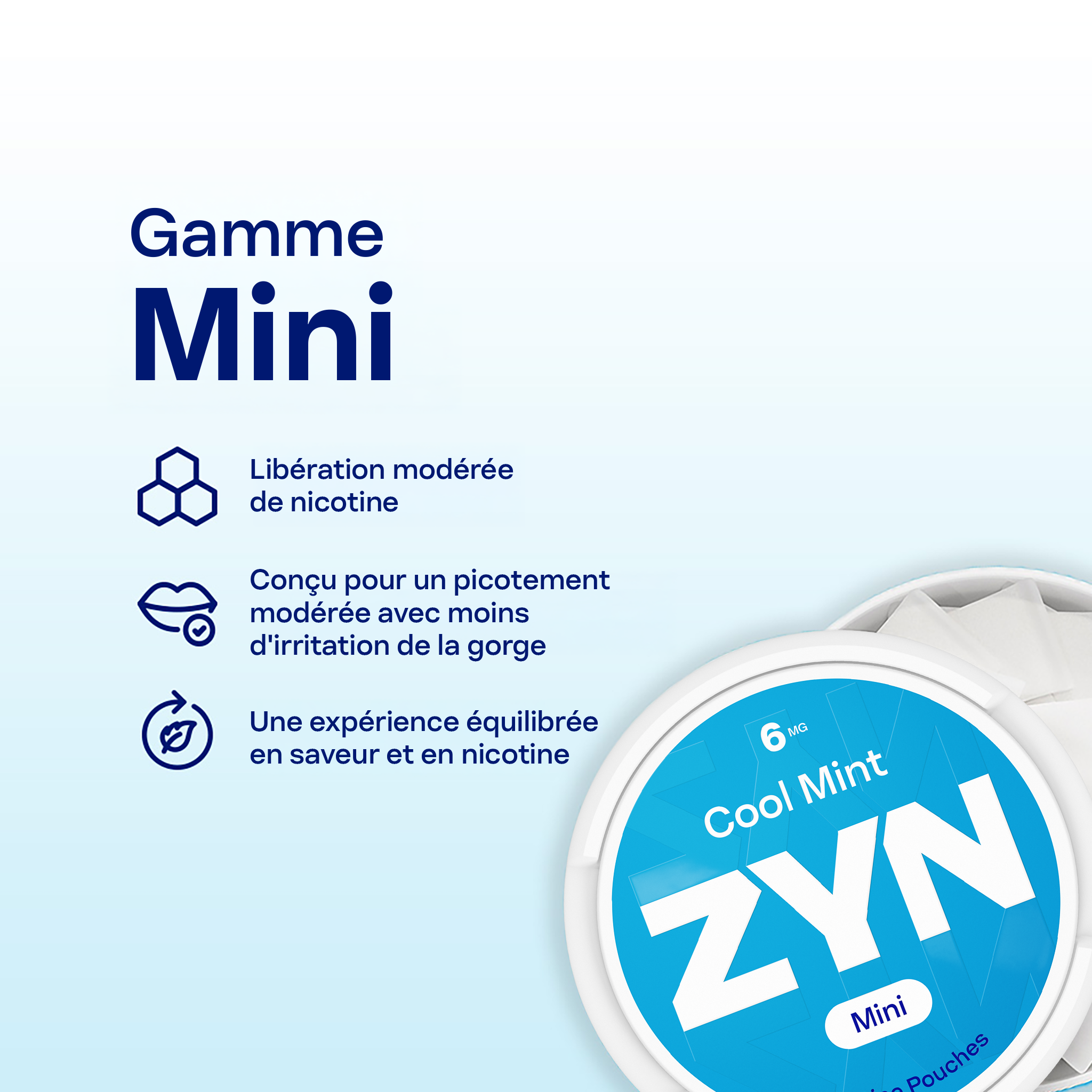 ZYN Cool Mint 6mg (Cool Mint)