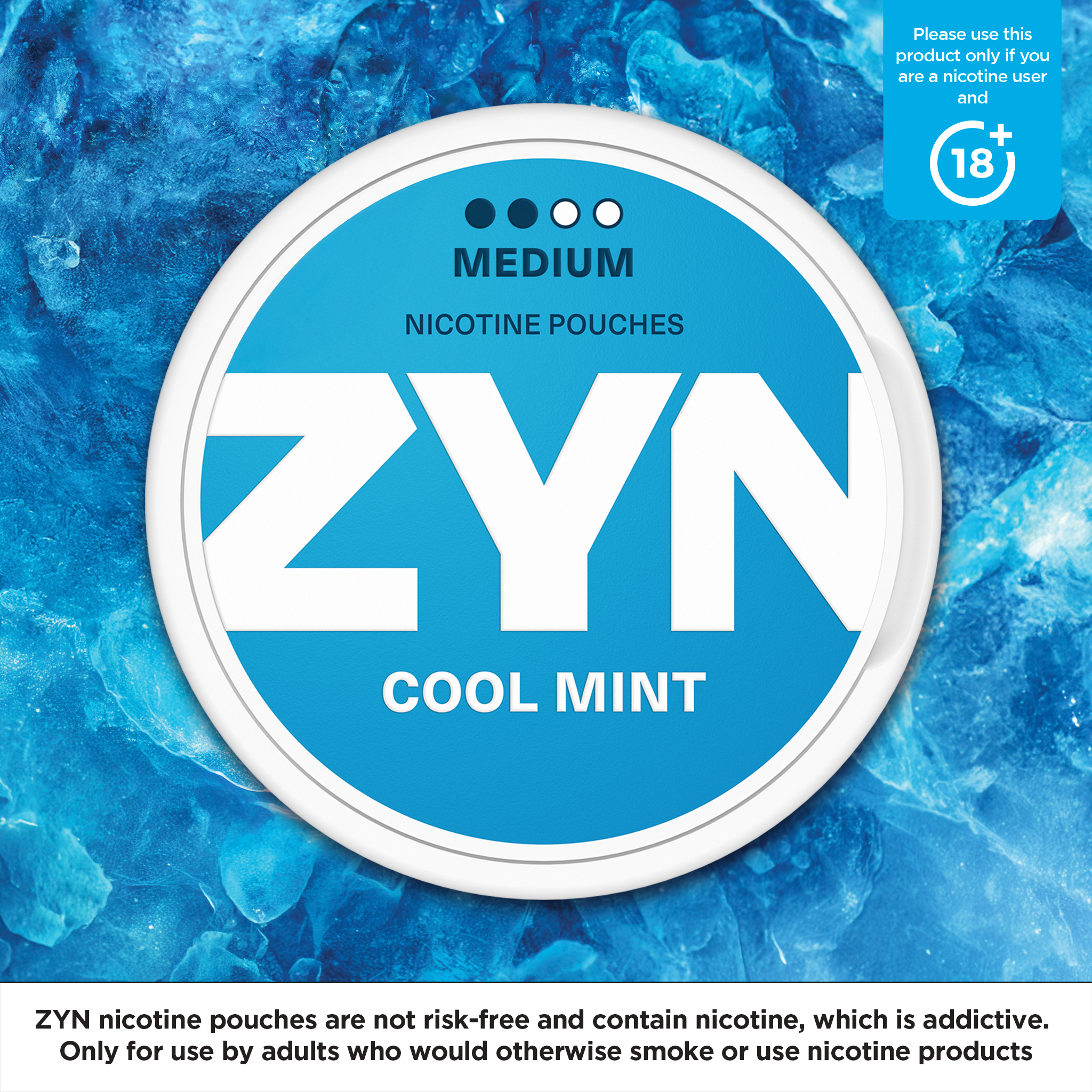 ZYN Cool Mint Medium (6mg) (Cool Mint)