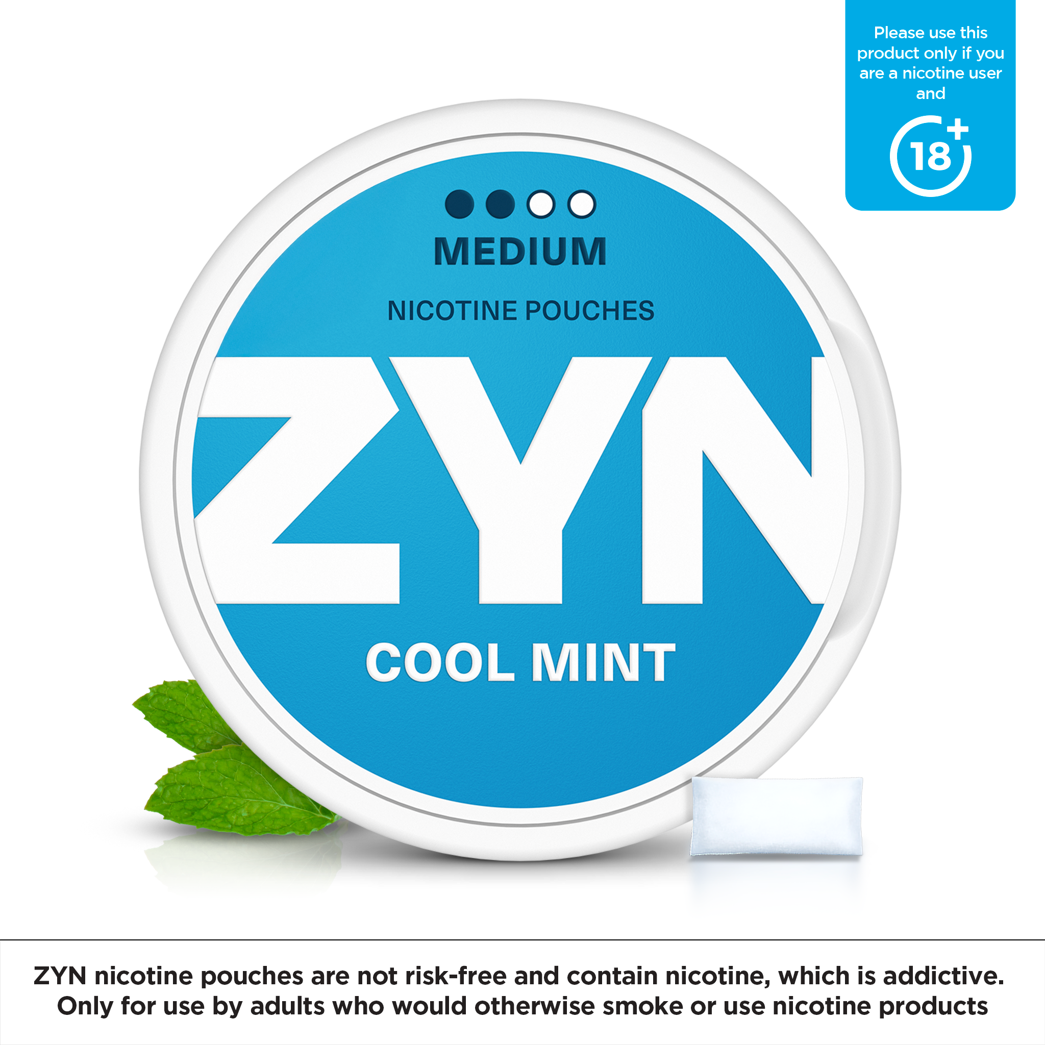 ZYN Cool Mint Medium (6mg) (Cool Mint)