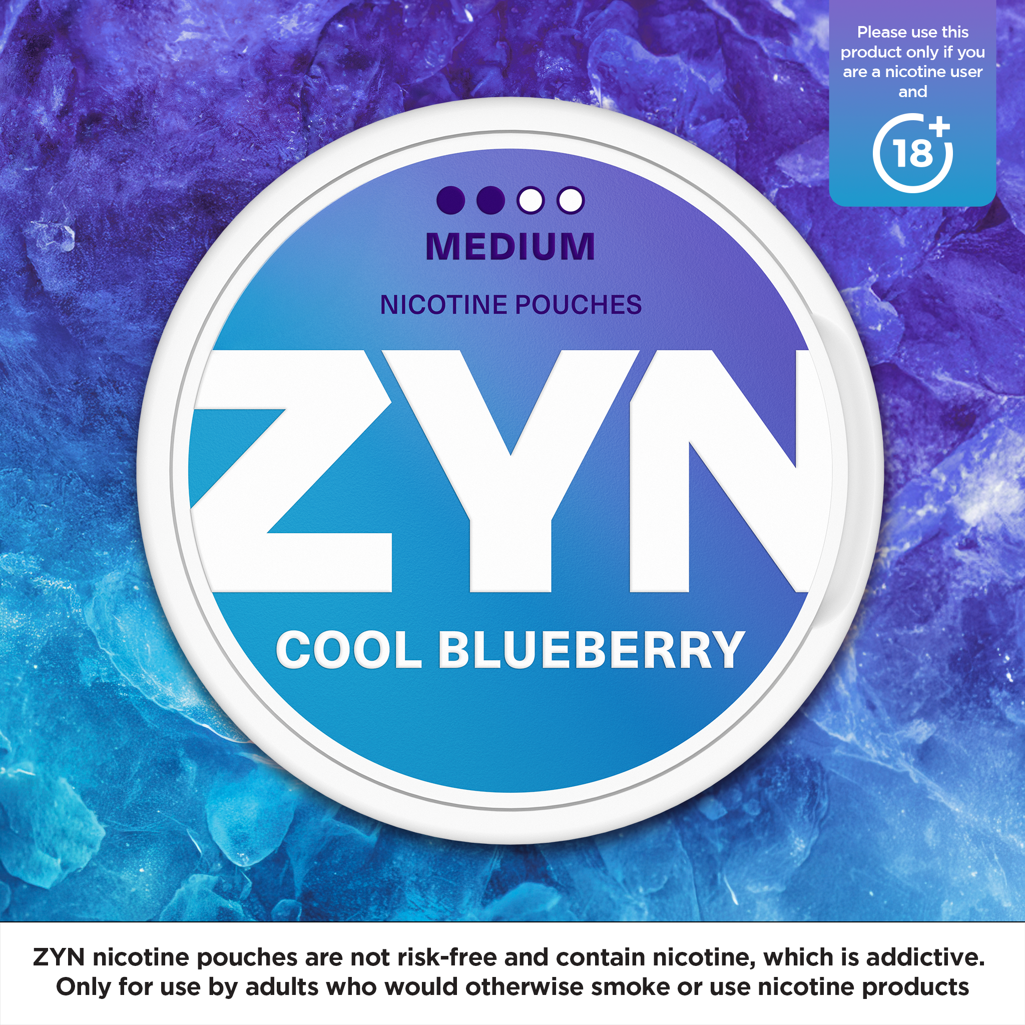 ZYN Cool Blueberry Medium (6mg) (Cool Blueberry)