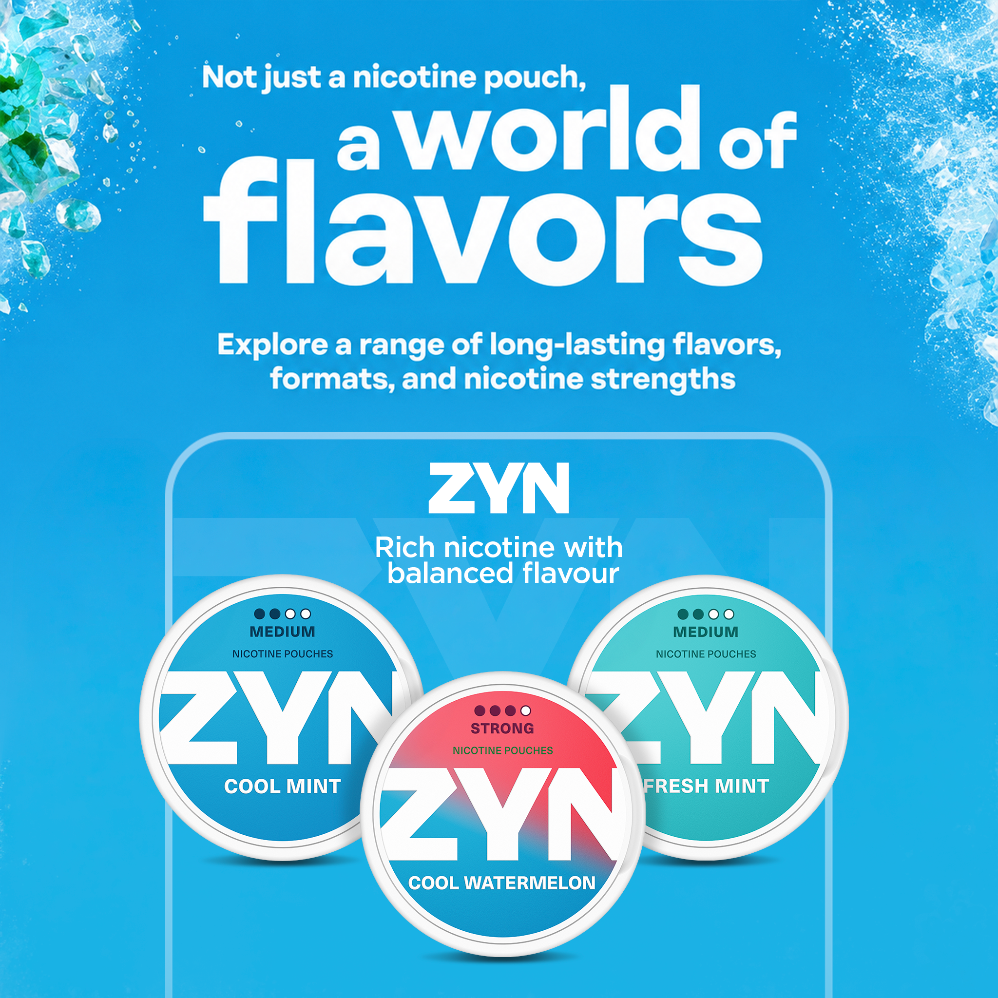 ZYN Black Menthol (14mg) (Black Menthol)
